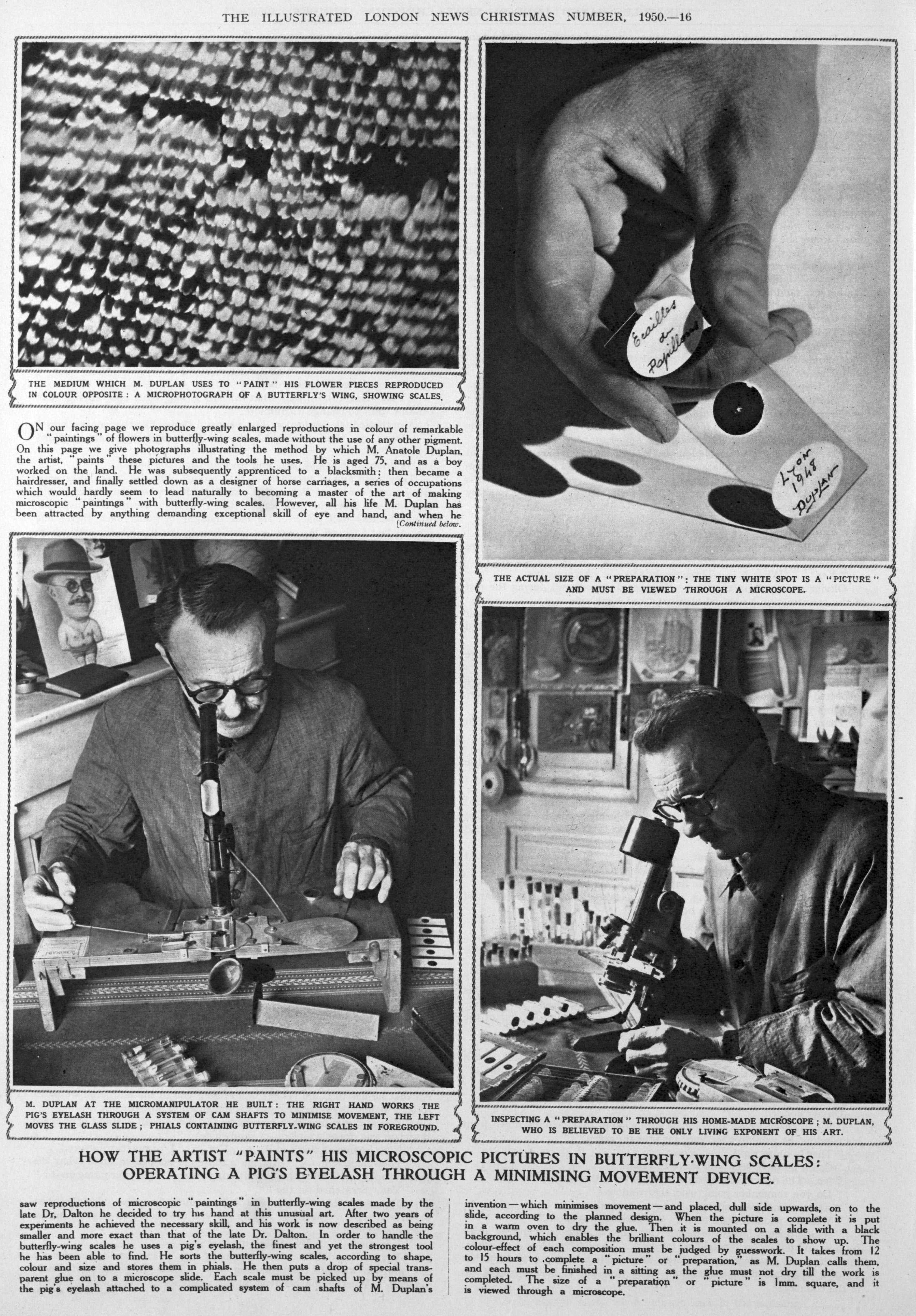 1950 micro painting